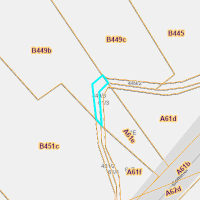 CADGIS