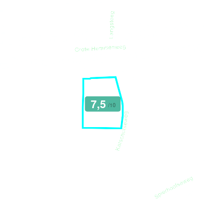 Mobiscore