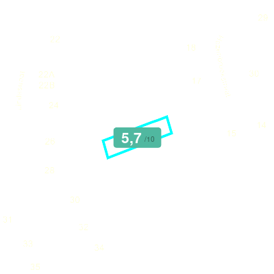 Mobiscore