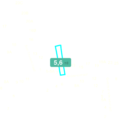 Mobiscore