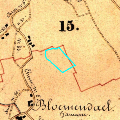 Algemeen Bodemgebruik (ABW)