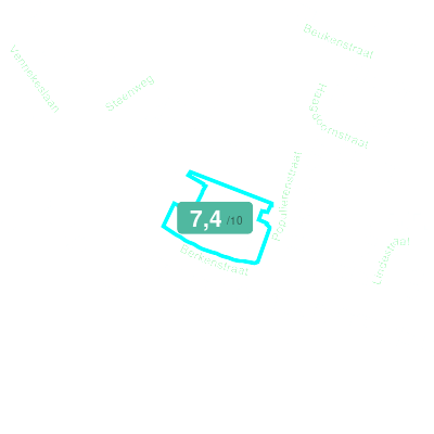 Mobiscore