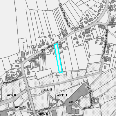 Ruimtelijke uitvoeringsplannen (RUP)