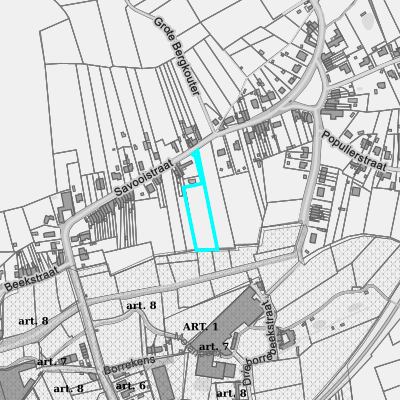 Ruimtelijke uitvoeringsplannen (RUP)