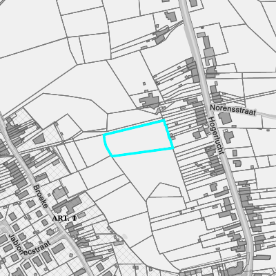 Ruimtelijke uitvoeringsplannen (RUP)