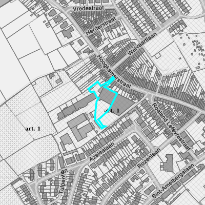 Ruimtelijke uitvoeringsplannen (RUP)