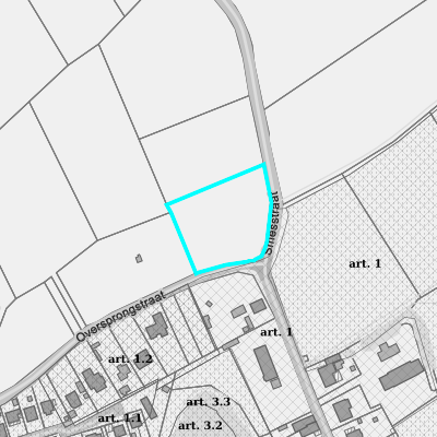 Ruimtelijke uitvoeringsplannen (RUP)