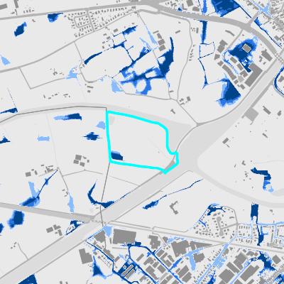 Overstromingsgevoelig (pluviaal)