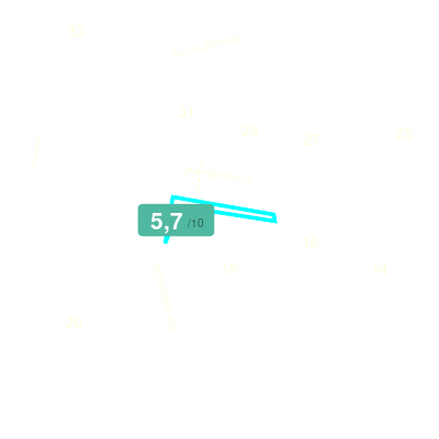 Mobiscore