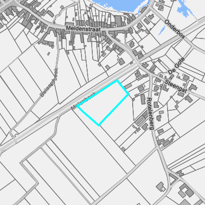 Overstromingsgevoelig (fluviaal)