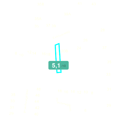 Mobiscore