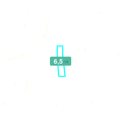Mobiscore
