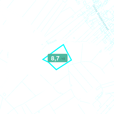Mobiscore