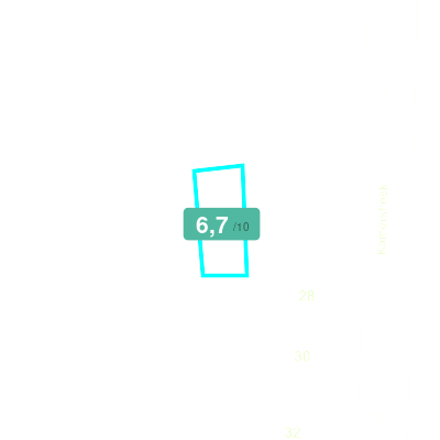 Mobiscore