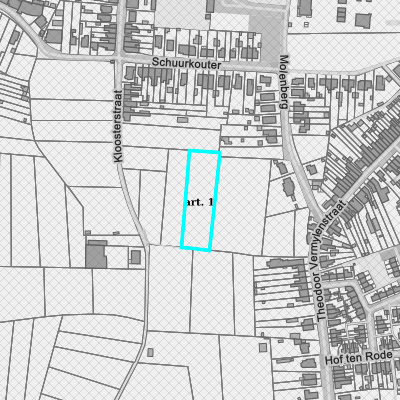 Ruimtelijke uitvoeringsplannen (RUP)
