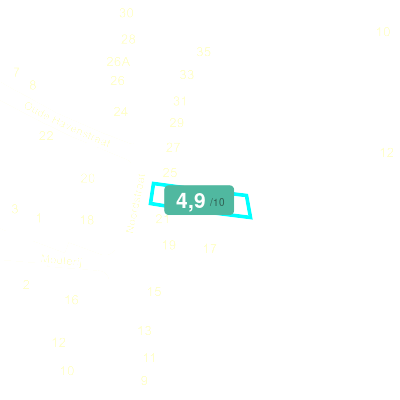 Mobiscore