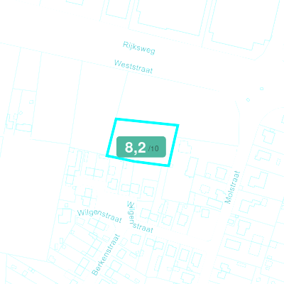 Mobiscore