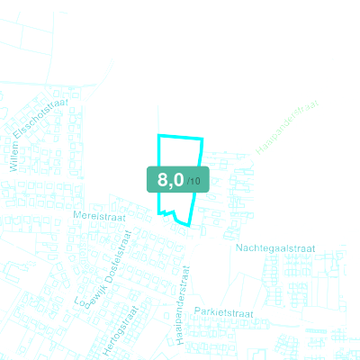 Mobiscore