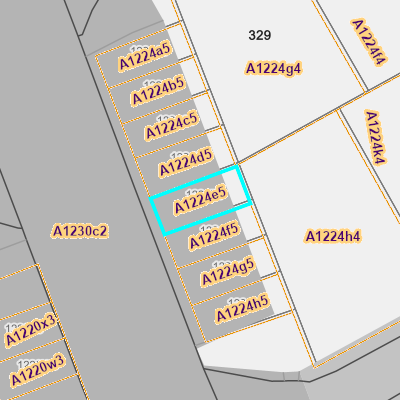 CADGIS