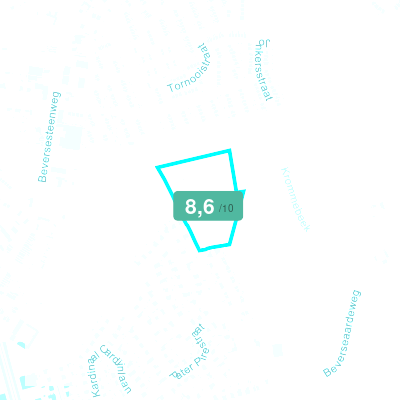 Mobiscore