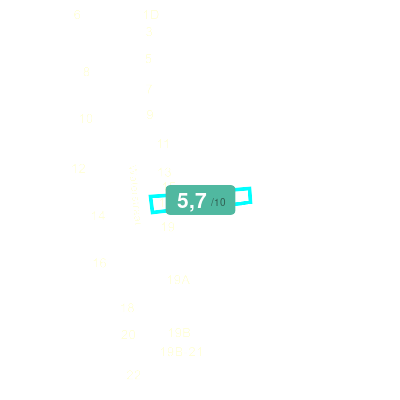 Mobiscore
