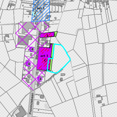 Ruimtelijke uitvoeringsplannen (RUP)
