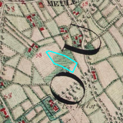 Ferraris (1771-1778)
