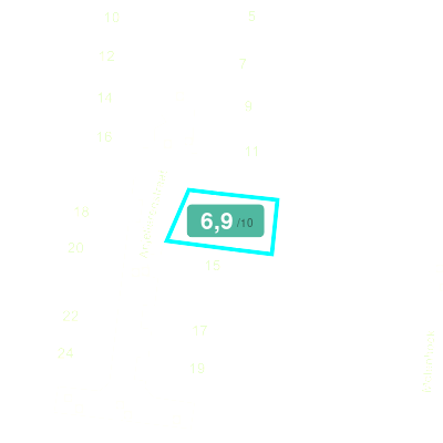 Mobiscore