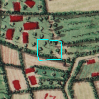 Ferraris (1771-1778)