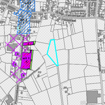 Ruimtelijke uitvoeringsplannen (RUP)