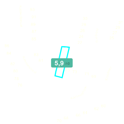Mobiscore