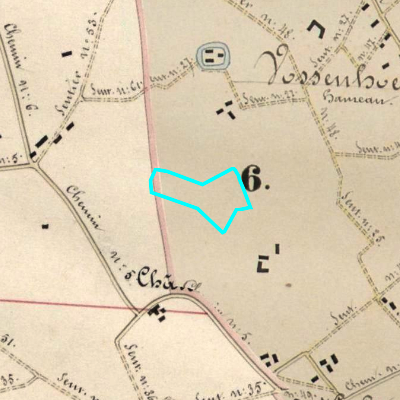 Algemeen Bodemgebruik (ABW)