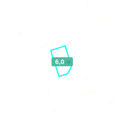 Mobiscore