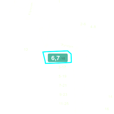 Mobiscore