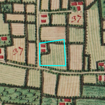 Ferraris (1771-1778)