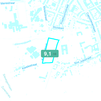Mobiscore