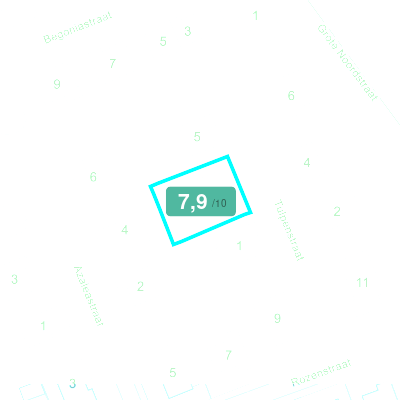 Mobiscore