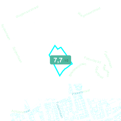 Mobiscore