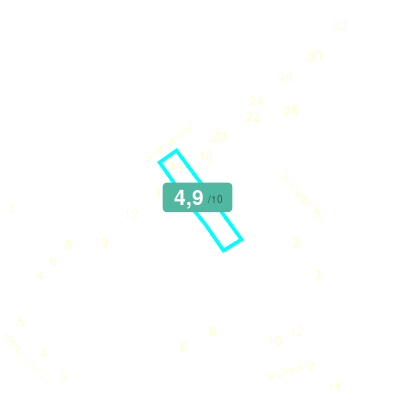Mobiscore
