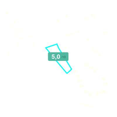 Mobiscore