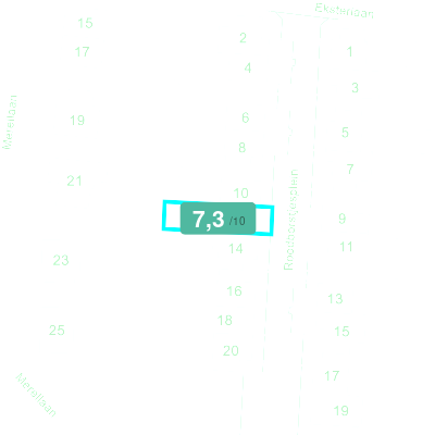 Mobiscore
