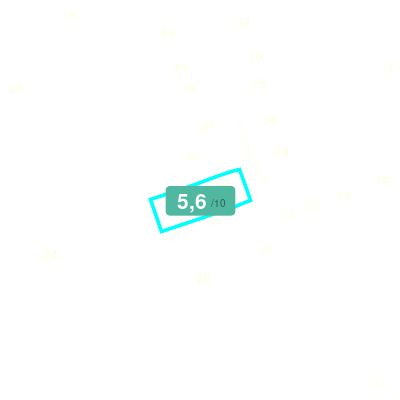 Mobiscore