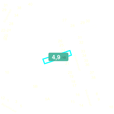 Mobiscore