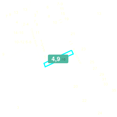 Mobiscore