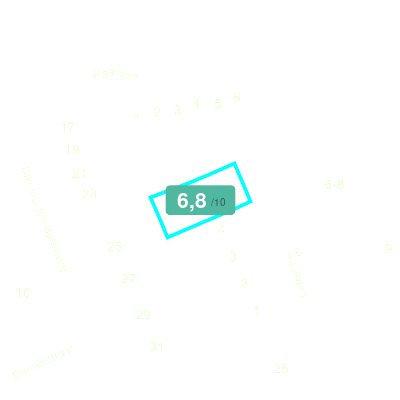 Mobiscore