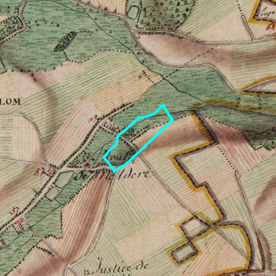 Ferraris (1771-1778)