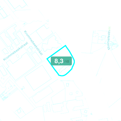 Mobiscore