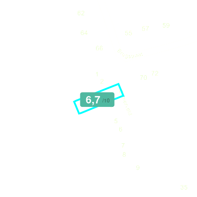 Mobiscore