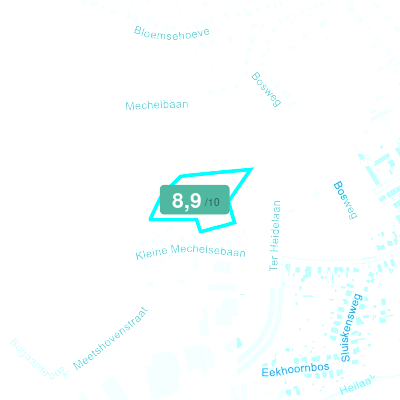Mobiscore