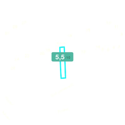Mobiscore